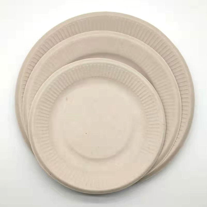 Sugarcane Pulp Dinner Plates 9" (Compostable)