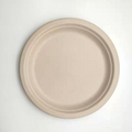 Sugarcane Pulp Dinner Plates 9" (Compostable)