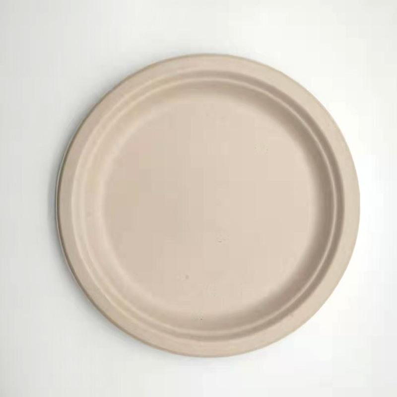 Sugarcane Pulp Dinner Plates 9" (Compostable)