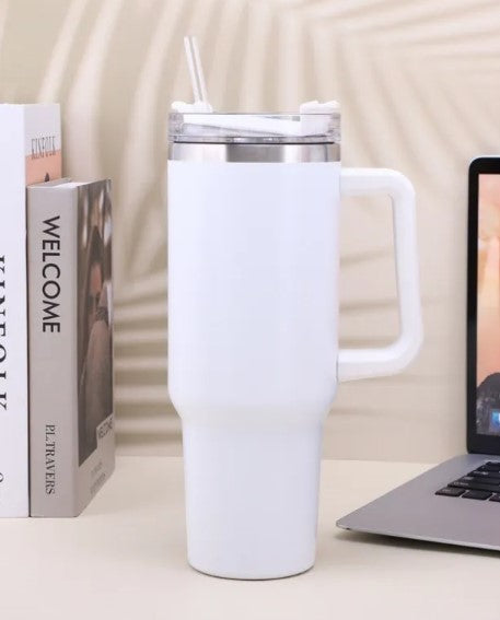 Insulated Stainless Steel Water Bottle
