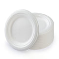 Compostable Bagasse Plates 6" (5 Pack)