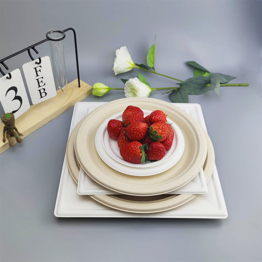 Compostable Bagasse Plates 6" (5 Pack)
