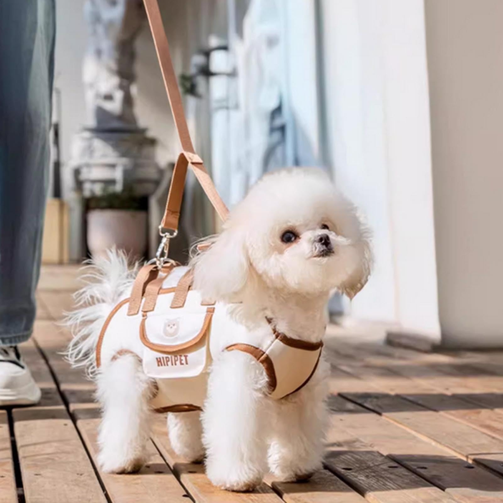 Dog Bag - Dog Carrier Bag - Dog Basket - Dog Cushion - Dog Coat - Dog Accessories - Cat Travel Basket - Dog Supplies - Puppy Bag - Dog Clothing - Cat Transport Box - Cat Basket - Travel Bag - White - 1 Piece