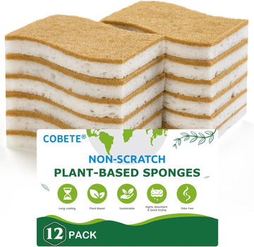 Compostable Coconut Dish Sponges (12 Pack)