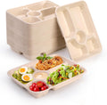 Compostable Bagasse Lunch Trays — 5 Section (50 Pack)