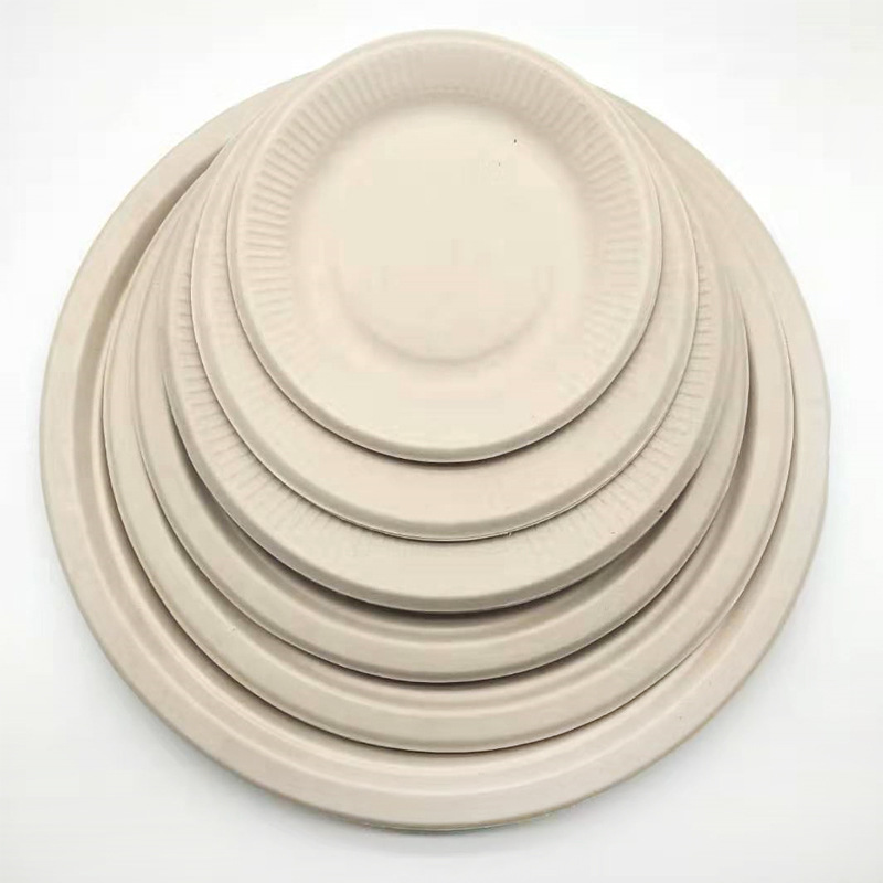 Sugarcane Pulp Dinner Plates 9" (Compostable)